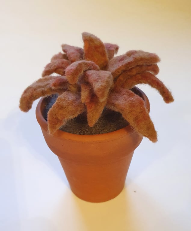 Vintage flowerpot with amber sempervivum