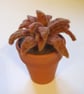Vintage flowerpot with amber sempervivum  - Image 1