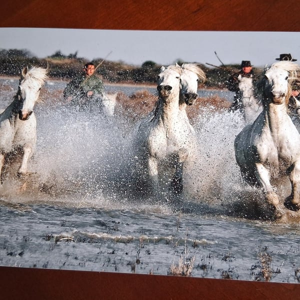 HORSES IN THE SEA