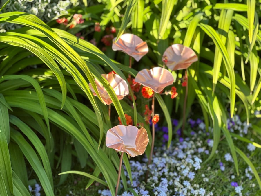 5 x Copper Bee Drinkers