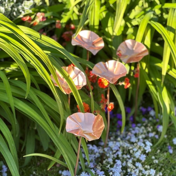 5 x Copper Bee Drinkers