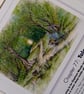Original hand painted watercolour print of Clapham Woods with a short story. - Image 2