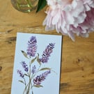 Lavender Flowers - Fine Art A5 Print