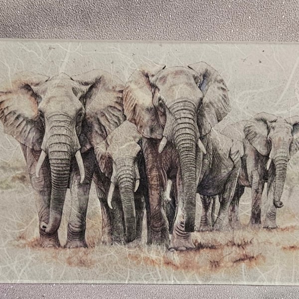 Elephant family acrylic plaque 