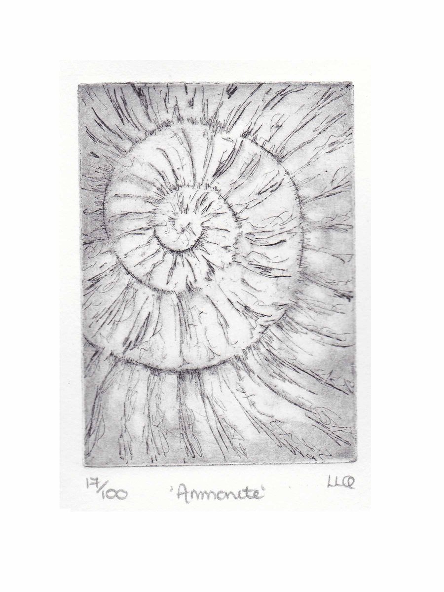 Etching no.17 of an ammonite fossil in an edition of 100