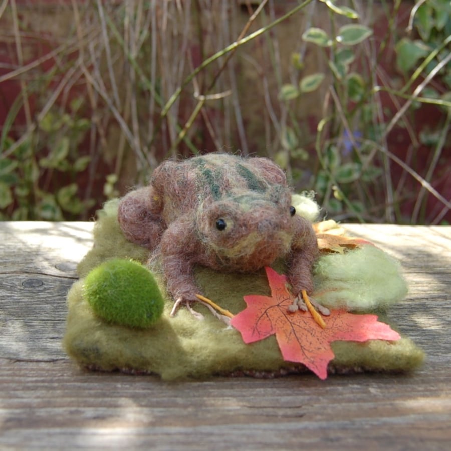 Needle felt Common Frog - wool sculpture