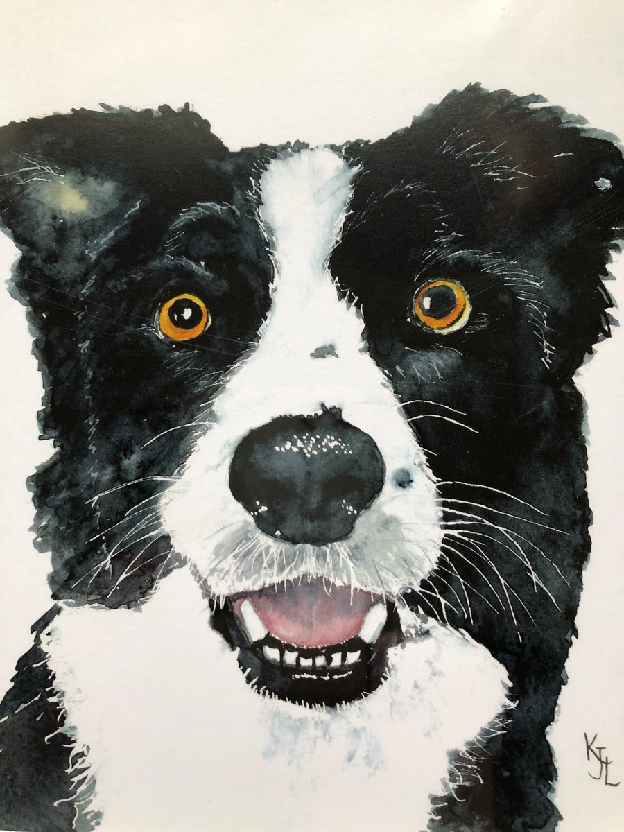 A4 or A3 mounted print of Carbis the Collie  from my original watercolour 