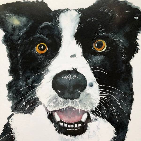 A4 or A3 mounted print of Carbis the Collie  from my original watercolour 