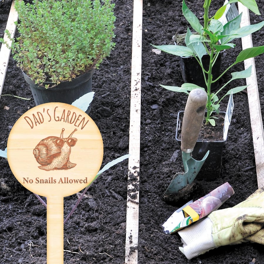 Personalised Name No Snails Allowed Garden Stand