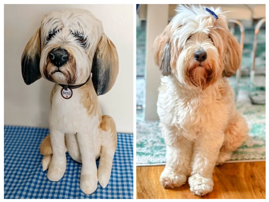 Fully Personalised Tibetan Terrier 