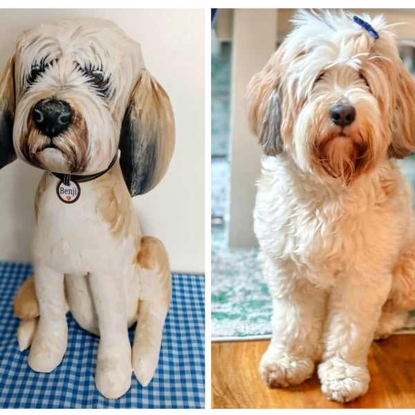 Fully Personalised Tibetan Terrier 