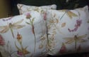 Unique Cushions
