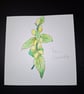 Original Handpainted Greetings Card- Yellow Deadnettle 