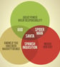 Venn Diagram Fridge Magnet - Image 1