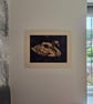 Original Hand-painted Bleach Animal Art - Swan - Image 3