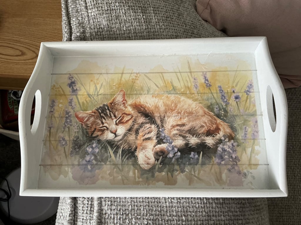Sofa Tray. Cat Lover Gift. Chair storage.