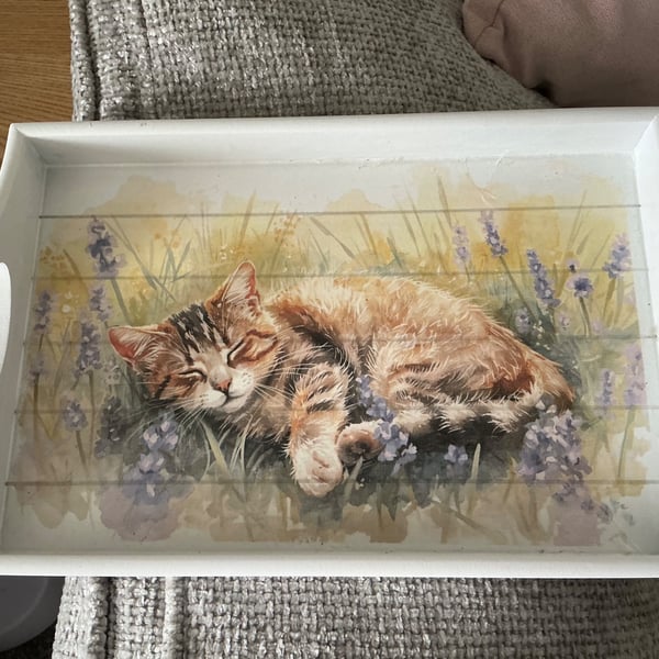 Sofa Tray. Cat Lover Gift. Chair storage.