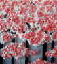 Artist made fused glass 'Cherry Blossom' Picture. - Image 2