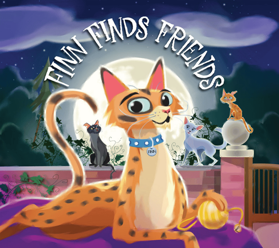Children's book - Finn Finds Friends - Picture book Illustration Happy Story