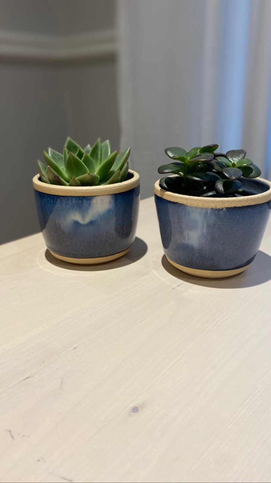Ceramic plant pot in deep blue
