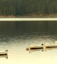 Keilder Water - Image 1