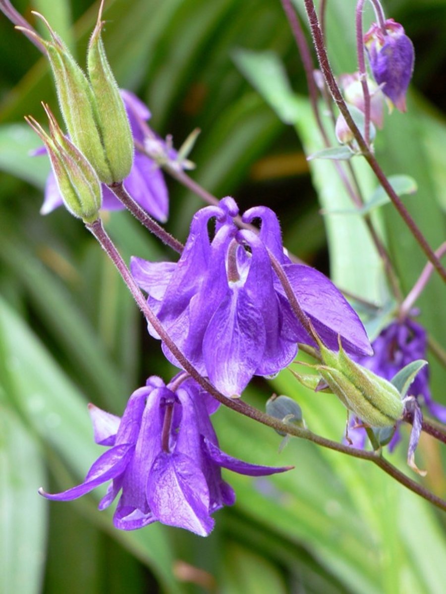 7" x 5" Photographic Card