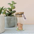 Mini Capybara in a Jar – “Don't Worry be Cappy” Handmade Gift & Cute Animal Keep