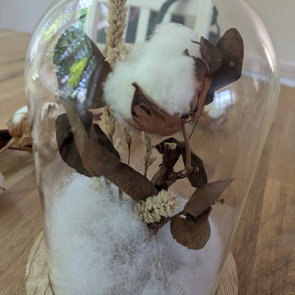 Little Ida's Cloud: Artisan Dried Flower Cloche bell jar