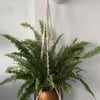 Macrame Plant Hanger, Natural Boho Decor,