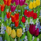 'A colourful crowd' greetings card