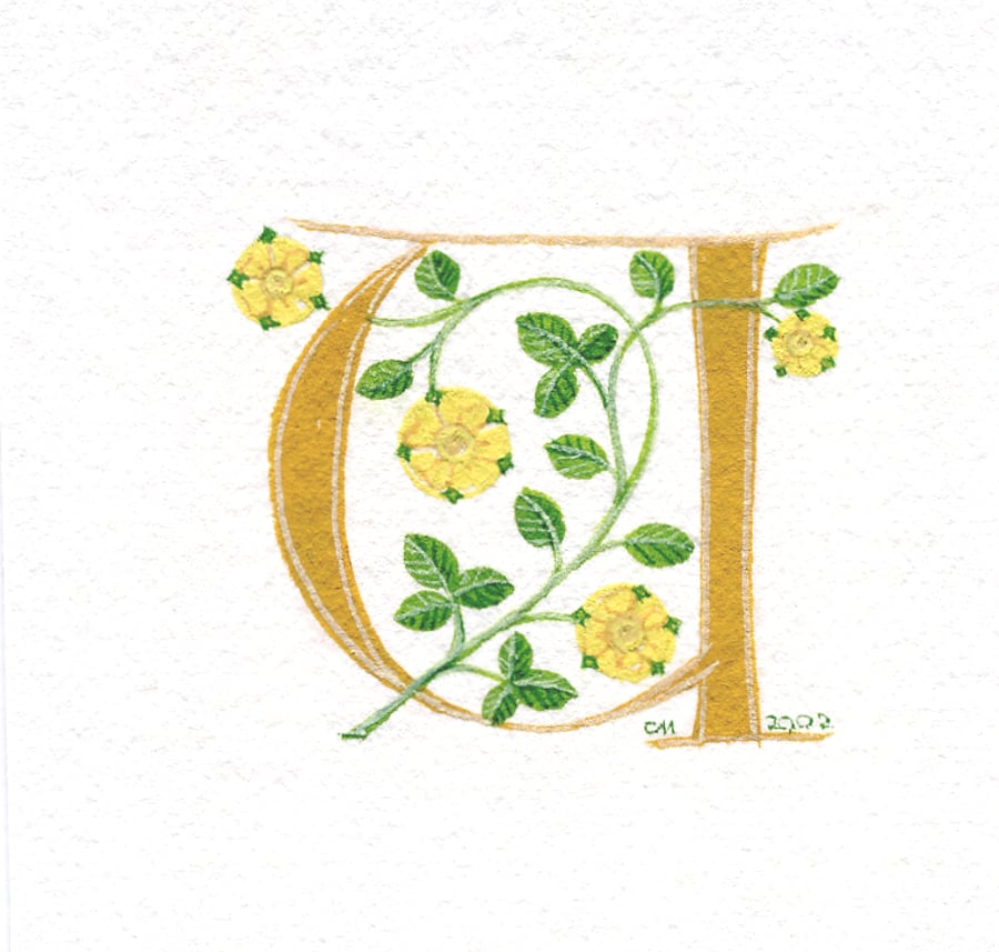 Letter 'U' in dark yellow with heraldic roses.