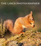 Red Squirrel print (Limited edition of 10)
