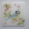  Handmade fused glass coaster - Blue tit (a)