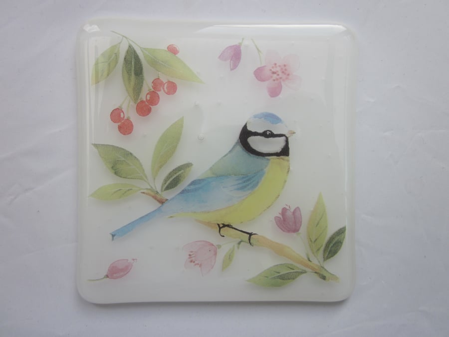  Handmade fused glass coaster - Blue tit (a)