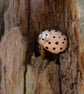 5 hand-painted pebble pets in a box - Image 10