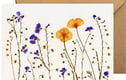 Blank greeting cards