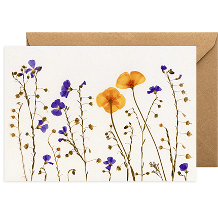 Floral Blank Greeting Card - California Poppy