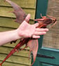 Leather Hand puppet - Image 2