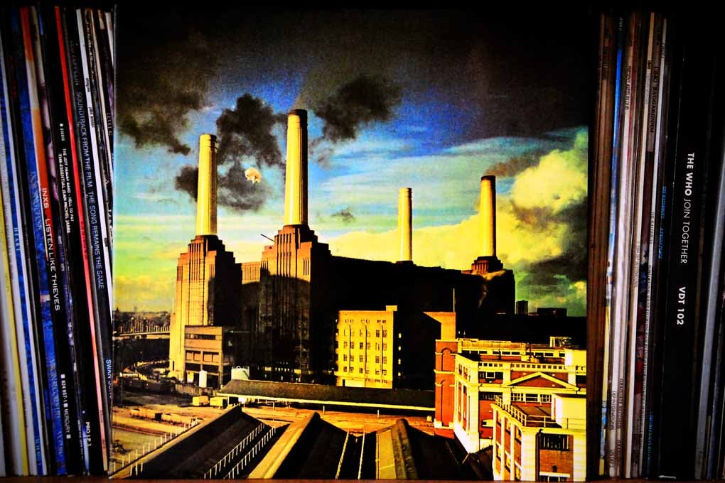 Pink Floyd Animals Album Front Cover Photograph Print