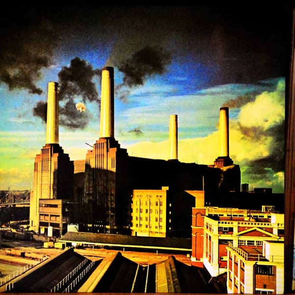 Pink Floyd Animals Album Front Cover Photograph Print