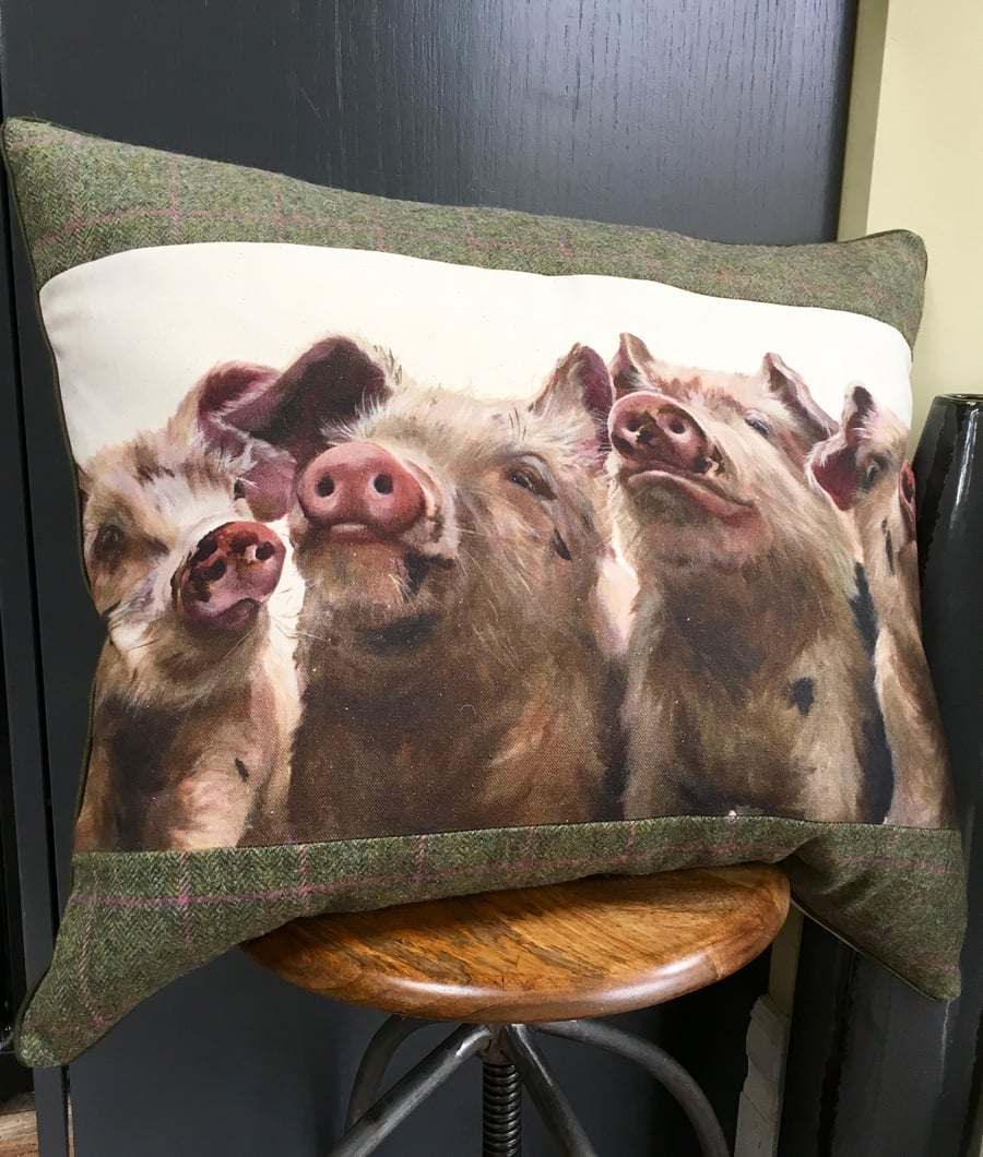 Pig cushion. Piggy pillow. Extra large tartan cushion. FREE UK Postage.
