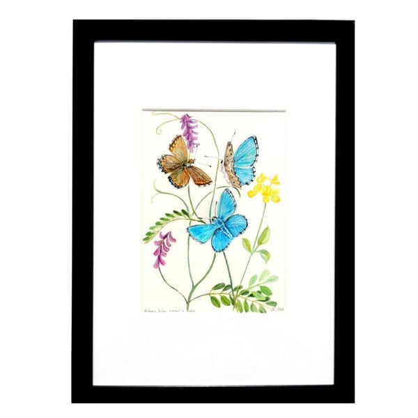 Butterfly Framed Watercolour Painting  Butterflies and Flowers Botanical Art