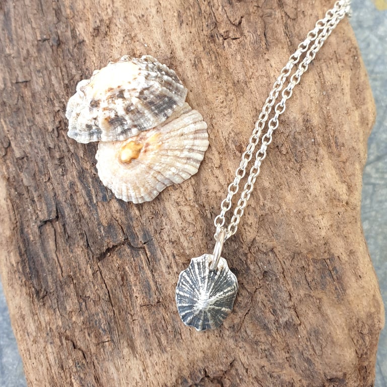 Small Silver limpet shell pendant