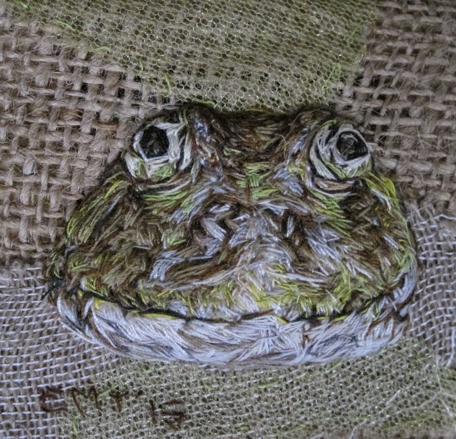 Marsh Frog Artwork