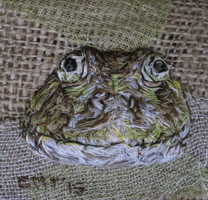 Marsh Frog Artwork
