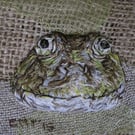 Marsh Frog Artwork