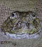 Marsh Frog Artwork