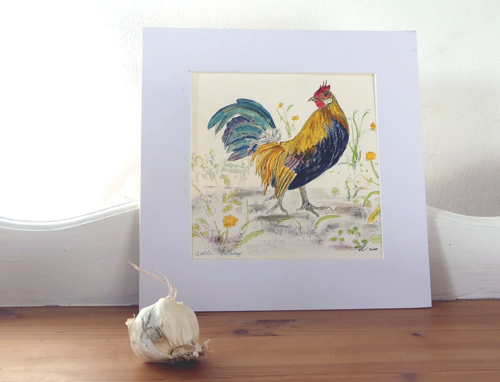 Dutch Partridge Farm Animal Original Pen and Watercolour Painting