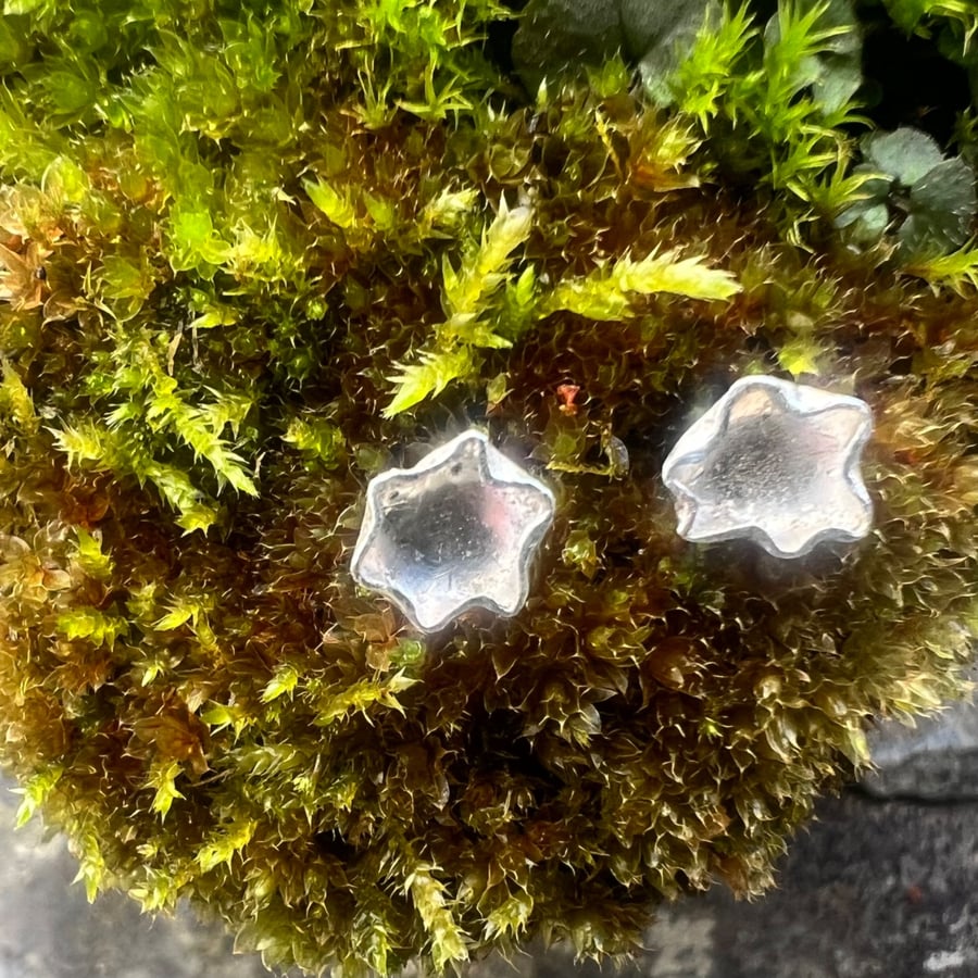 Silver Lichen Stud Earrings - Folksy