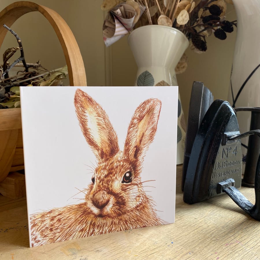 Greetings Card. The Curious Hare